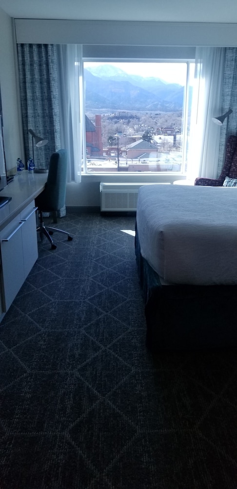 Hilton Garden Inn Colorado Springs Downtown - photo 8