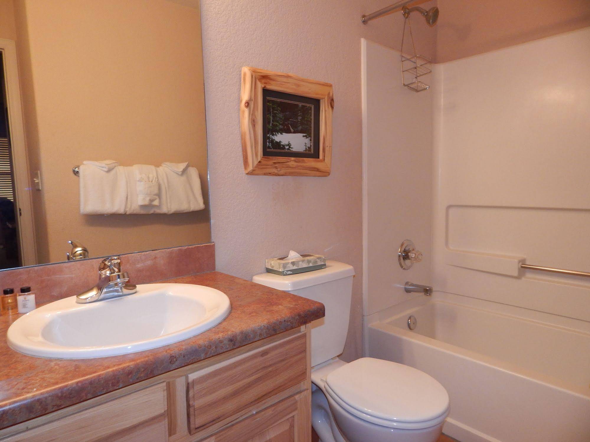 Winter Park Premier Townhomes - photo 22