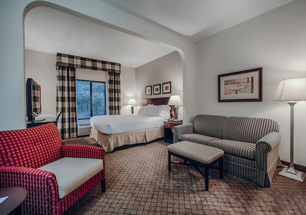 Holiday Inn Express Atlanta Emory University Area by IHG - photo 9