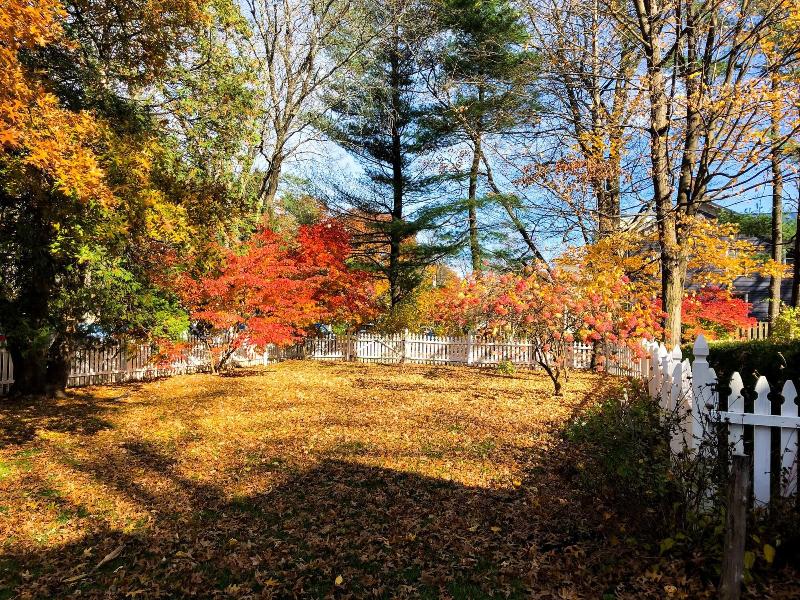 The Gables of Rhinebeck Inn - photo 3