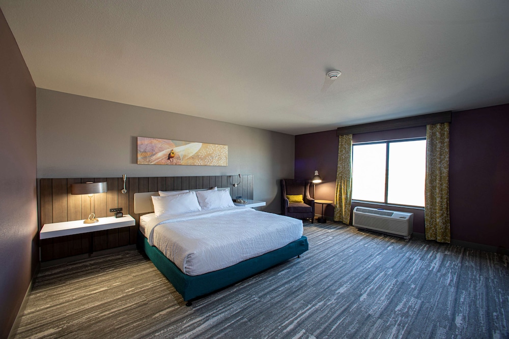 Hilton Garden Inn Rapid City - photo 8