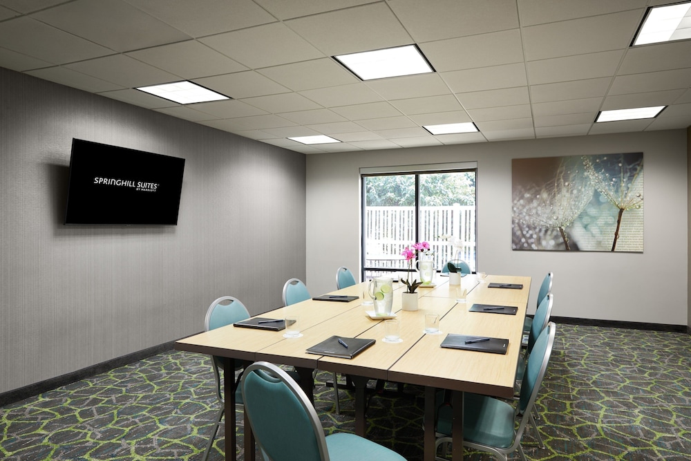 Springhill Suites St. Louis Airport Earth City - photo 22