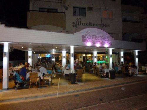 Blueberries Villa