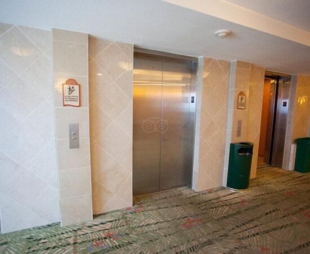 Daytona Beach Resort 212 One Bedroom Condo - photo 28
