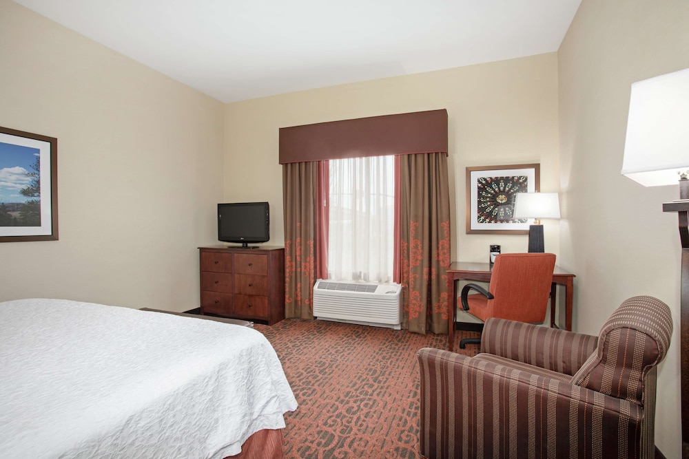 Hampton Inn & Suites Denver South RidgeGate - photo 13