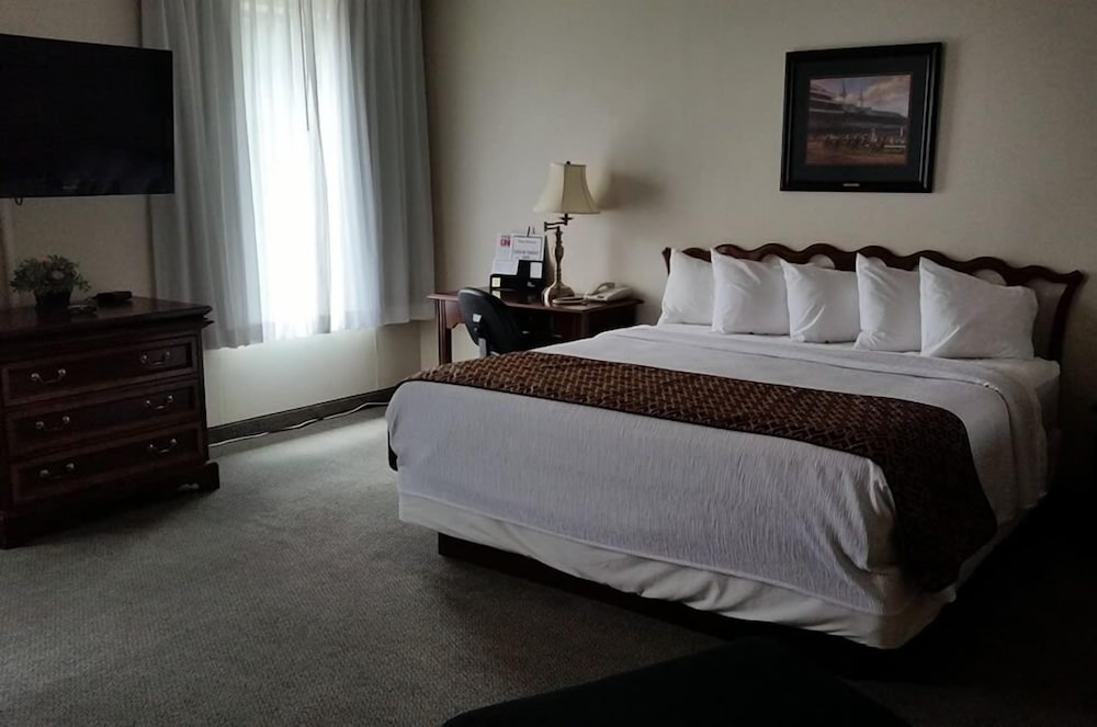 Gold Vault Inn - photo 11