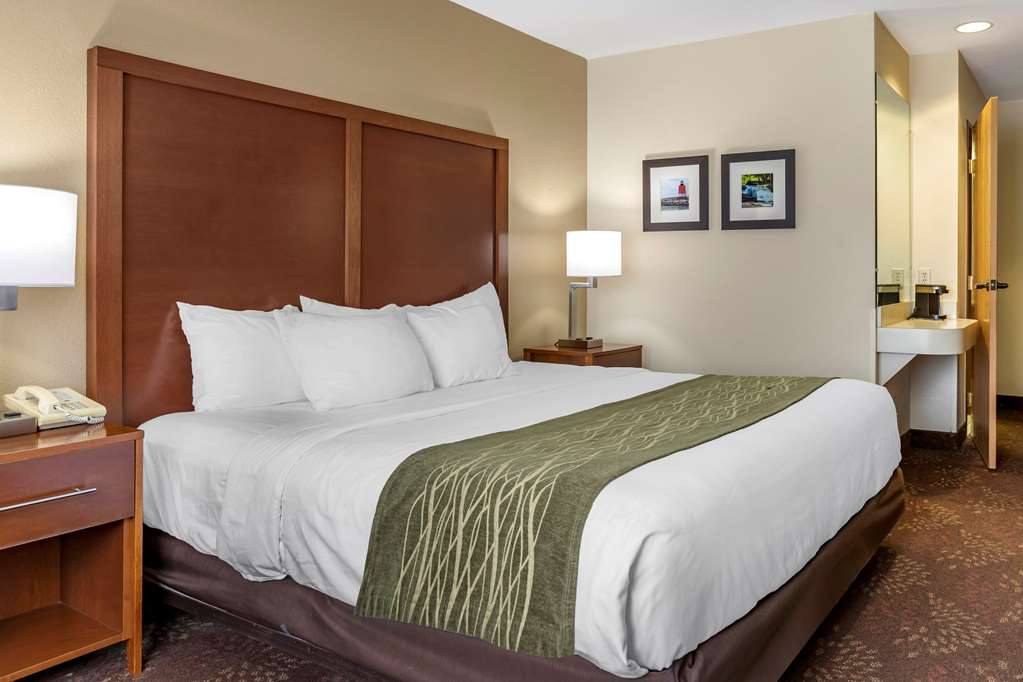 Comfort Inn Okemos East Lansing - photo 12