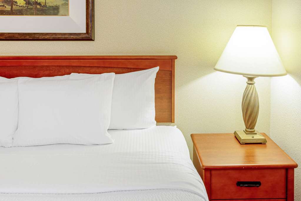 La Quinta Inn & Suites by Wyndham Appleton College Avenue - photo 6