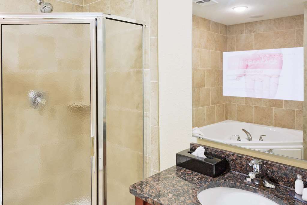 La Quinta Inn & Suites by Wyndham Minot - photo 15