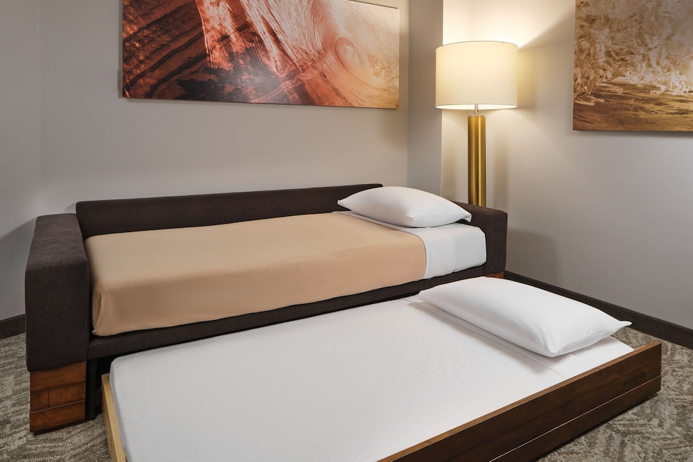 SpringHill Suites by Marriott Jacksonville Baymeadows - photo 6