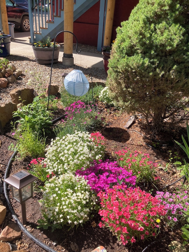 Mancos Inn - photo 68
