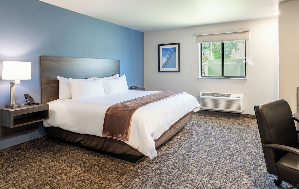 My Place Hotel Jacksonville Camp Lejeune NC - photo 7