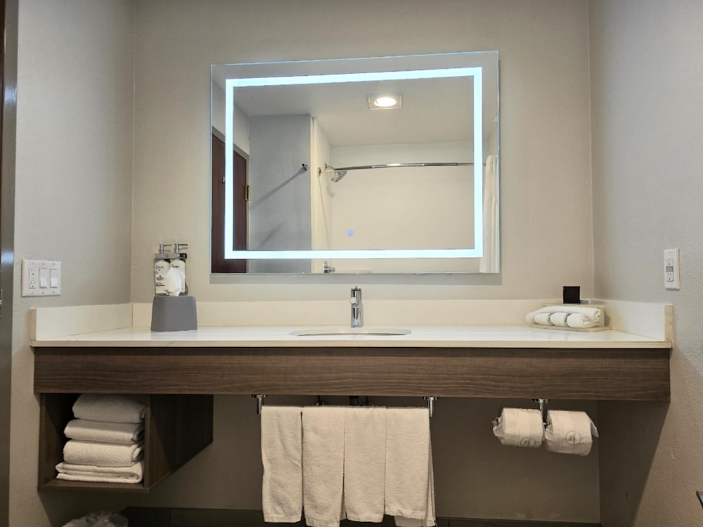 Holiday Inn Express & Suites St Joseph by IHG - photo 46