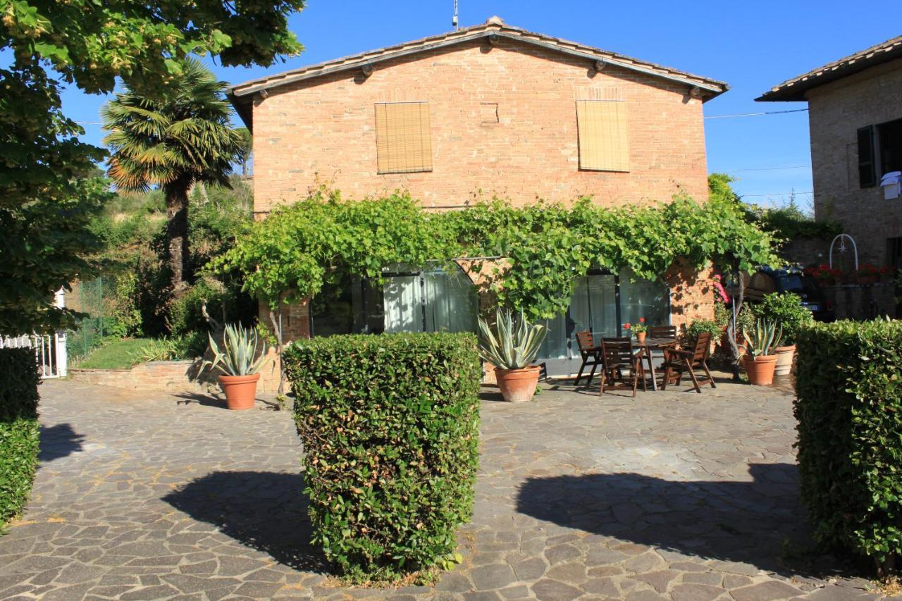 Vignano40 — Siena