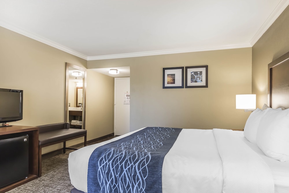 Comfort Inn Sunnyvale Silicon Valley - photo 12