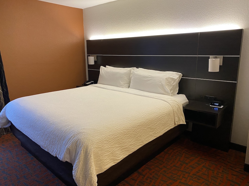Holiday Inn Express Metropolis - photo 18