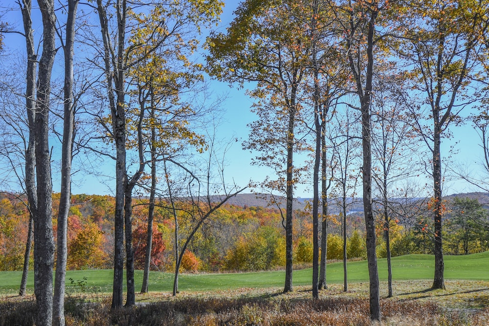 Mountain Mojo - photo 39