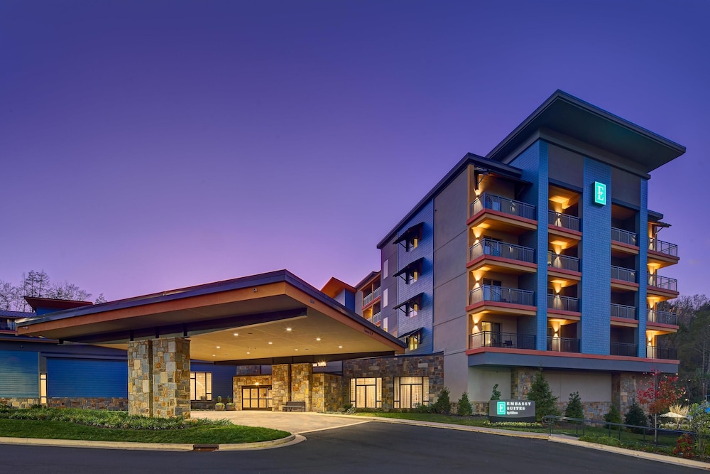 Embassy Suites by Hilton Gatlinburg Resort - photo 79