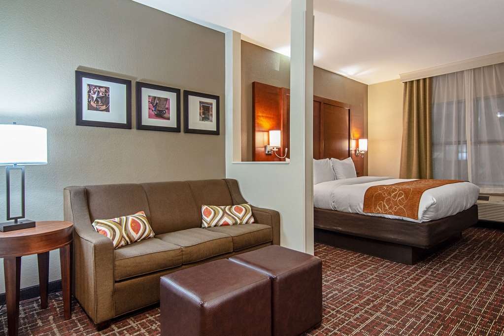 Comfort Suites NW Dallas Near Love Field - photo 29