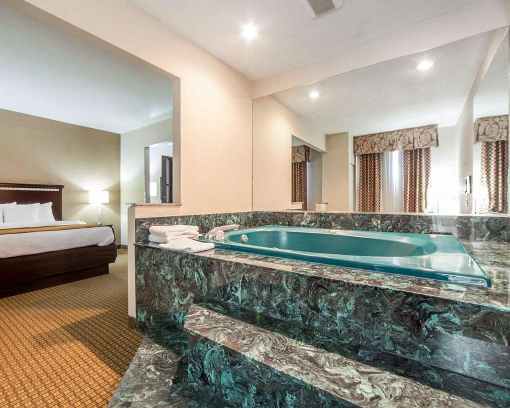 Comfort Suites London South - photo 18