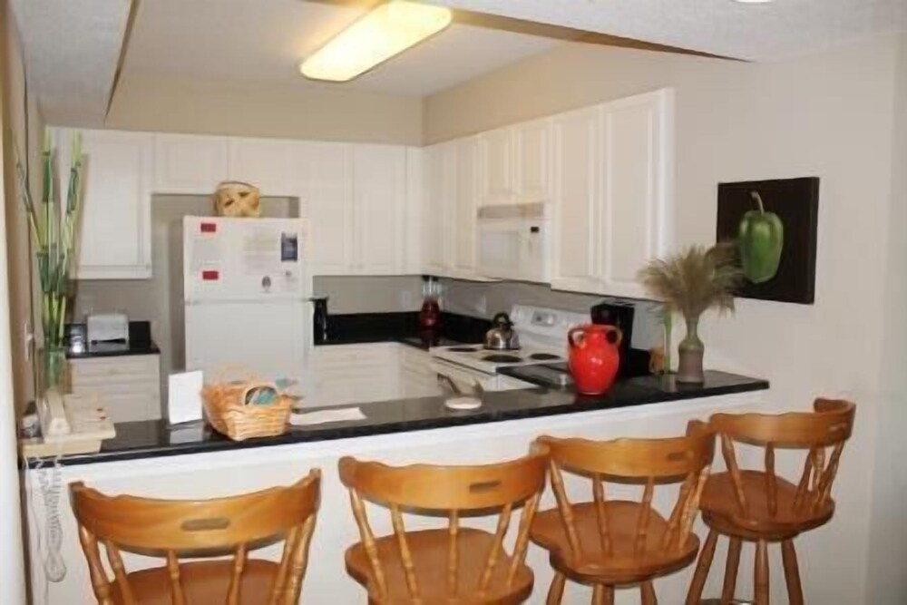 North Tower Apartment 207 - photo 7
