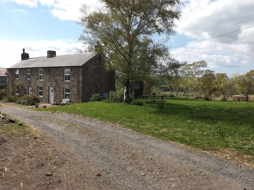 Hillis Close Farm — hotel in Haltwhistle