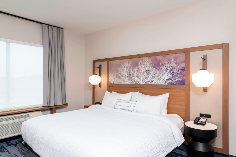 Fairfield Inn & Suites by Marriott Fair Oaks Farms - photo 17