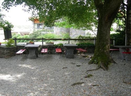 Hotel Zelindo — Losone — photo 3