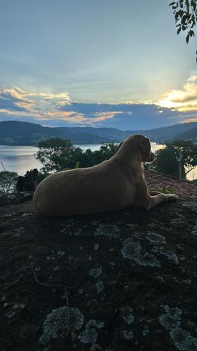 Refugio a Beira do lago Piscina Churrasqueira Vista privelegiada para o Por dos sol Canto dos Passaros in Capitolio, Brasil