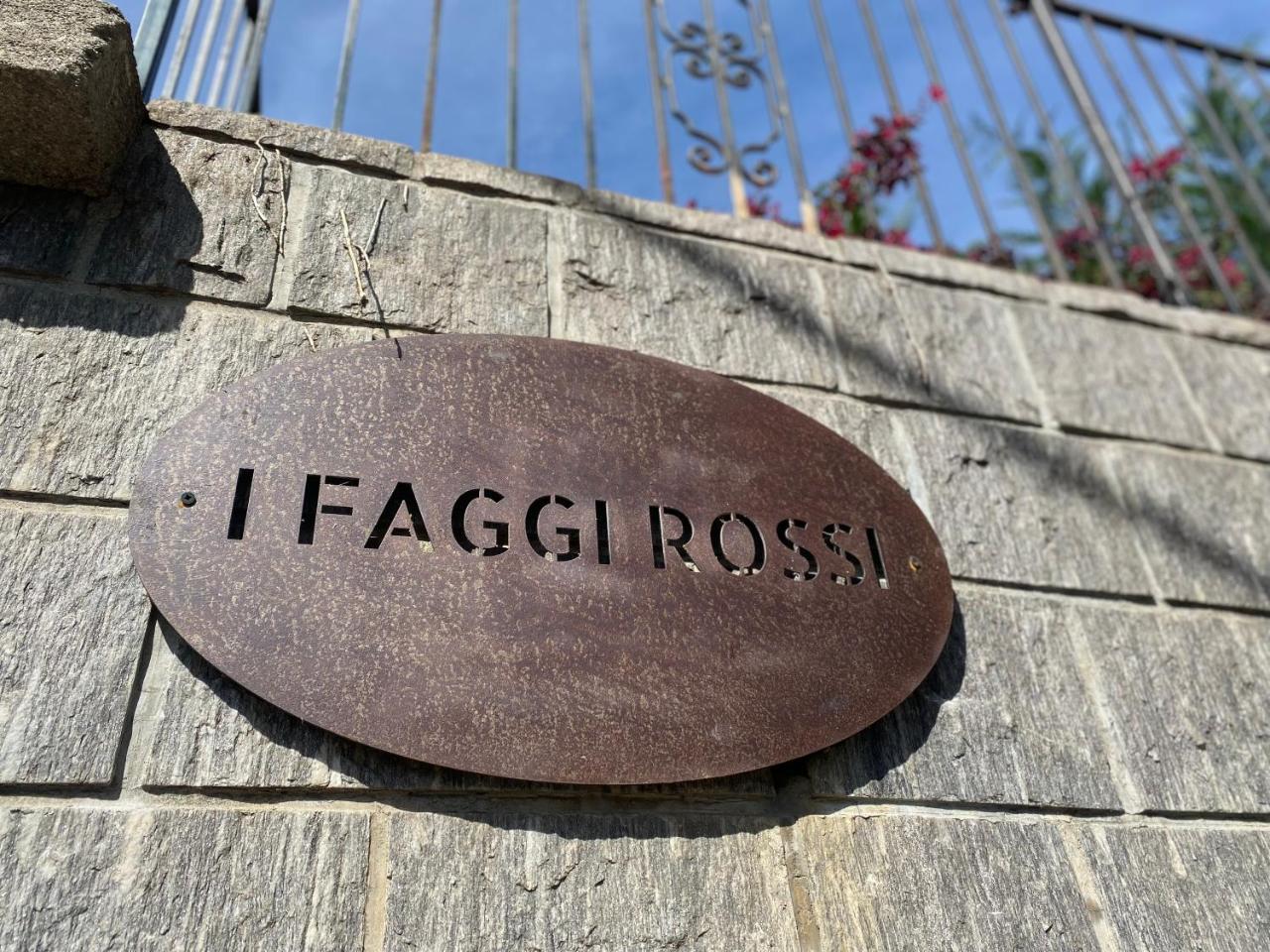I Faggi Rossi Red Beech Trees in Como, Italy