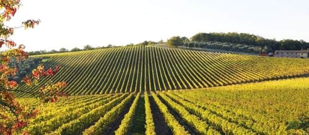 DoubleTree by Hilton Sonoma Wine Country - photo 79