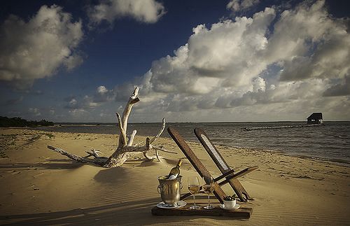 Kipungani Explorer — Lamu — photo 4