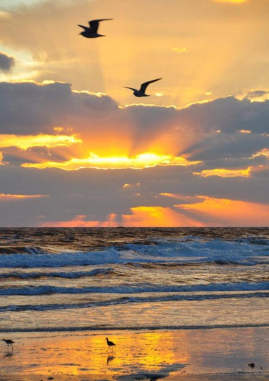 Great Vibes - last minute hotel in Panama City Beach