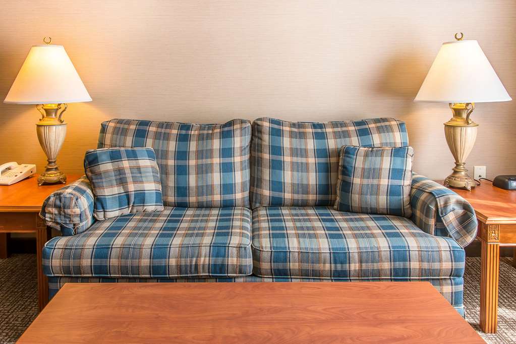 Comfort Inn Chelsea MI - photo 19