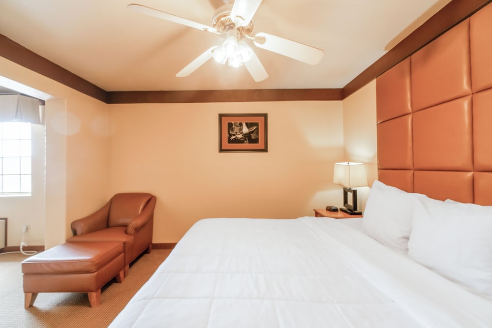 Texan Inn By Oyo Beeville Us 181 - photo 43