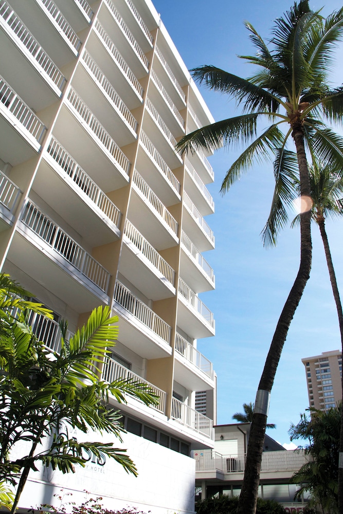 Oasis Hotel Waikiki - photo 36
