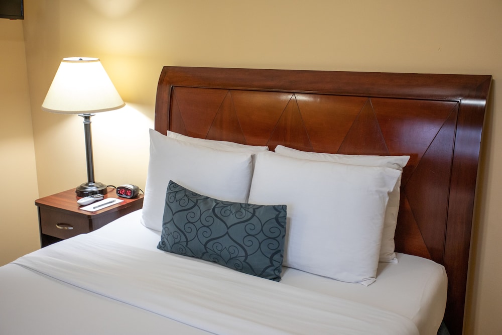 The Hotel Hollywood - photo 25