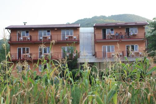 Pensiune Safrane in Baile Herculane, Romania