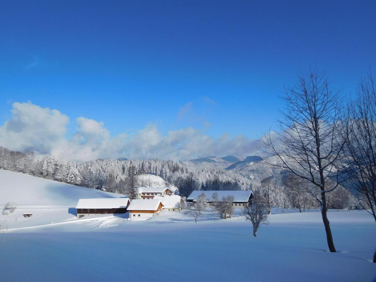 Urlaub am Bauernhof Blamauer Köhr — hotel in Goestling An Der Ybbs