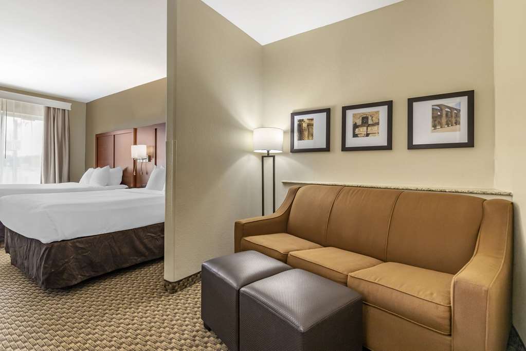 Comfort Suites Medical Center near Six Flags - photo 20