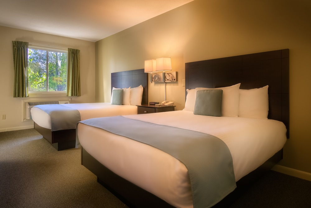 Sun & Ski Inn And Suites - photo 36