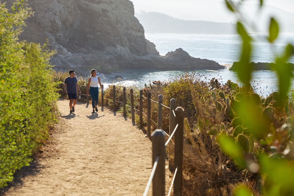 Terranea Resort - photo 41