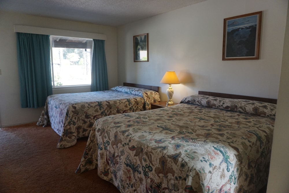 Blue Gum Motel - photo 12