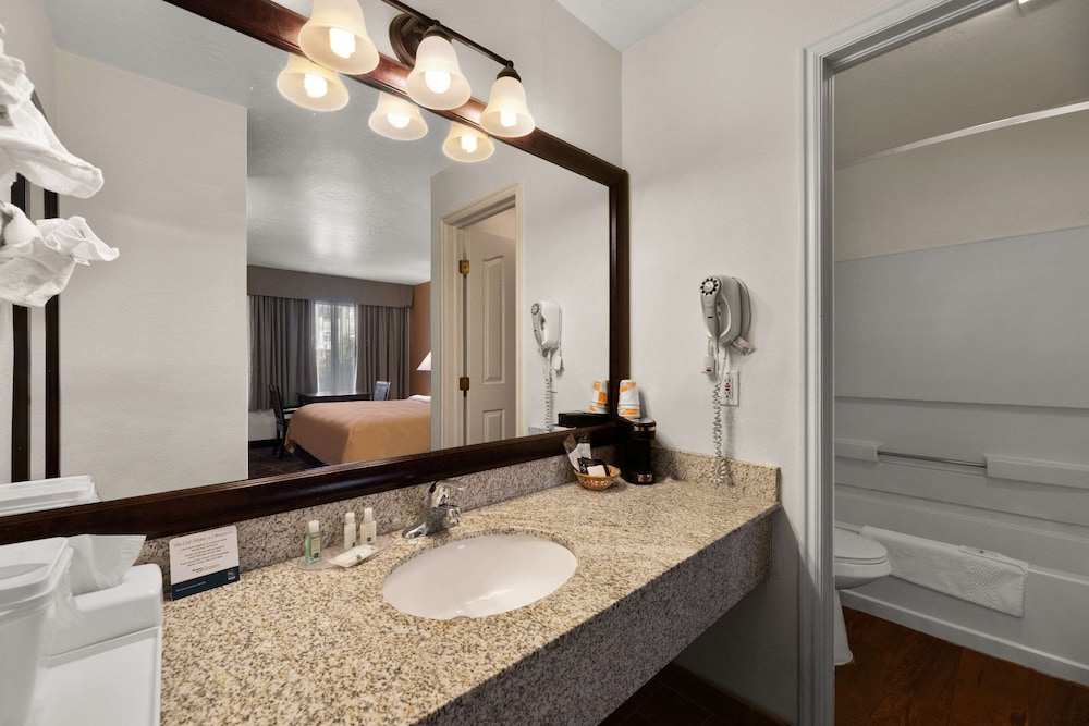 Quality Inn Saint George South Bluff - photo 8