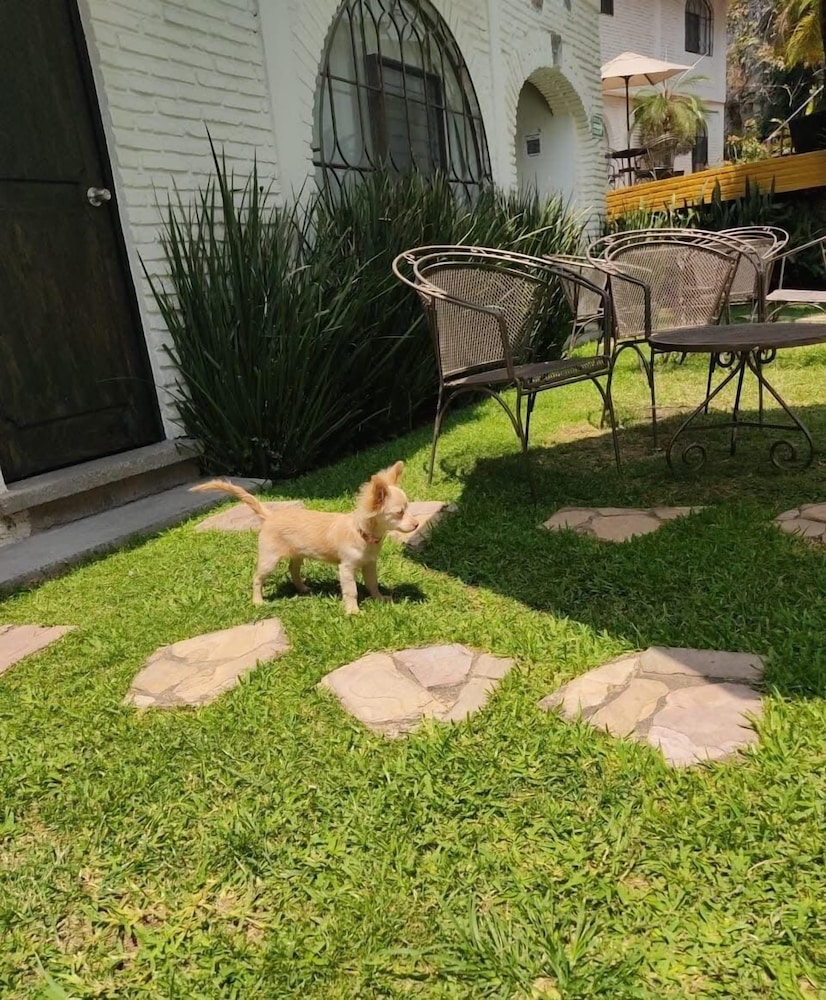 Pet-friendly amenities