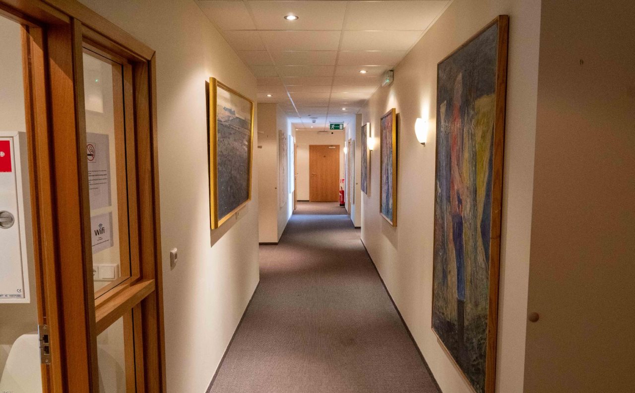 T10 Hotel Iceland