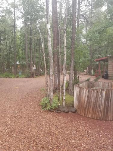 Northwoods Resort Cabins - photo 10