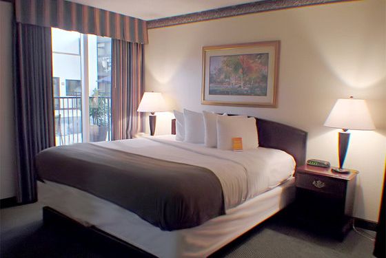 Haven Hotel - photo 47