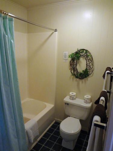 Summerset Inn Resort - photo 17