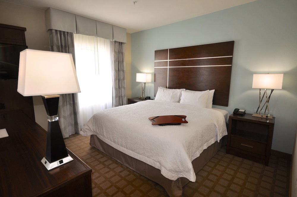 Hampton Inn & Suites Hutto Austin - photo 14